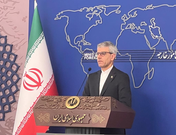 بقایی: رفتار امارات در کشورهای منطقه را با موضوع جزایر خلط نمی‌کنیم