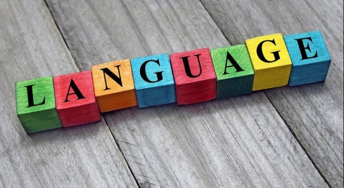 پیوندی ناگسستنی میان واژه و وطن