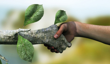 دیپلماسی برای محیط زیست
